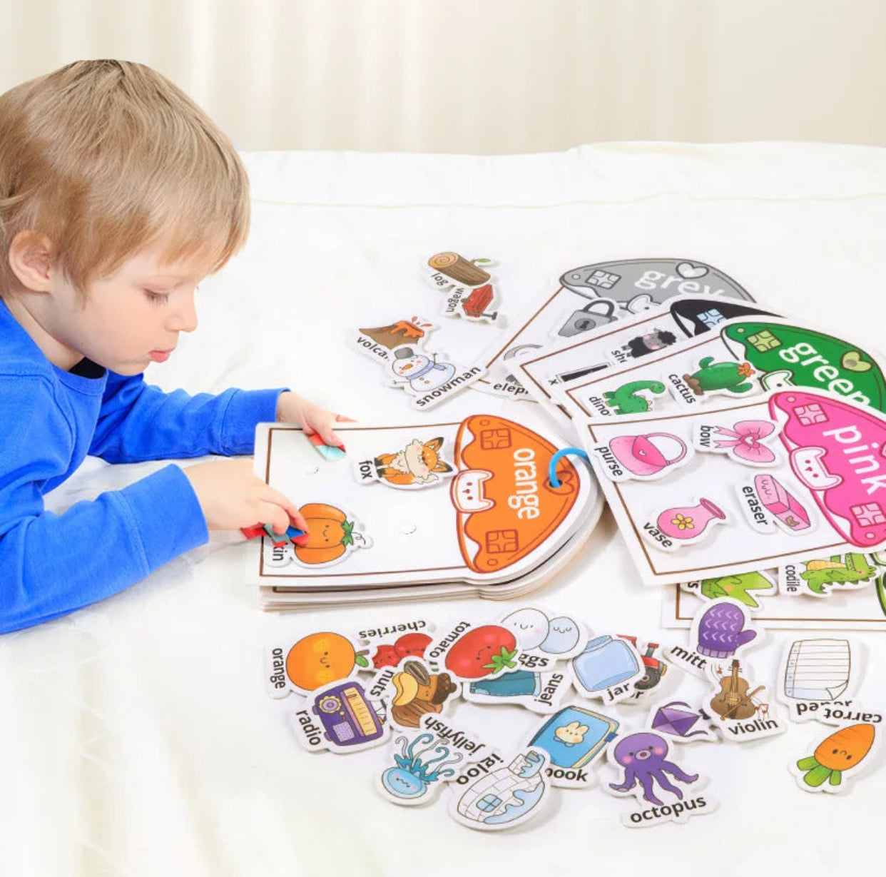 Color Sorting & Classification Book