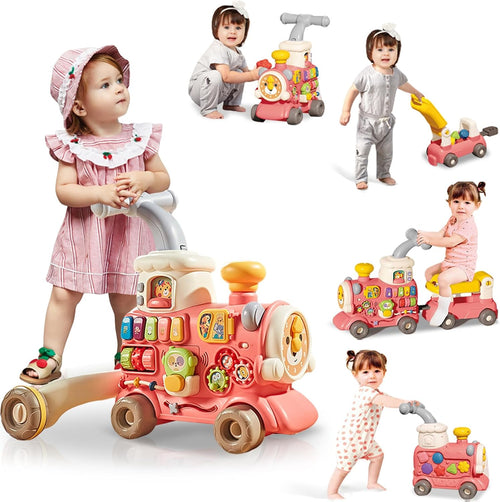 5in1 Baby Walker